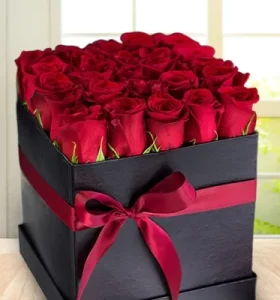 1645769751_product