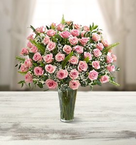 Amazing-Pinks.jpg