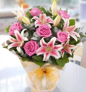 Blush-Of-Love-.jpg