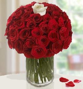 Bold-Bouquet-.jpg