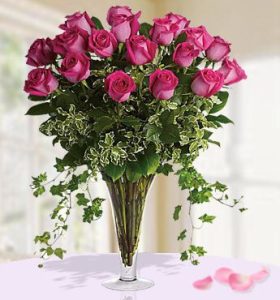Bountiful-Beauty-.jpg