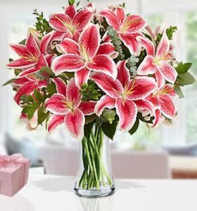 Charming-Beauty-.jpg