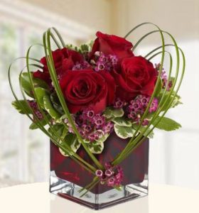 Cupids-Bow-.jpg