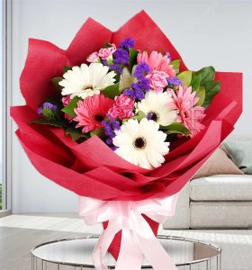 Gerbera-Love