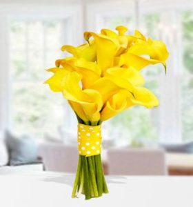 Graceful-Calla-1-1.jpg