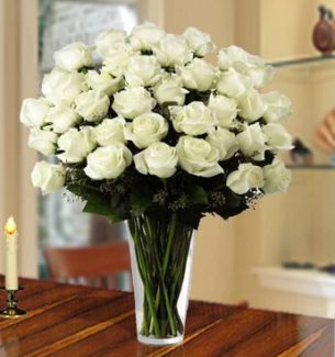 Innocent-White-40-1-1.jpg