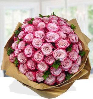 Lovely-Roses-.jpg