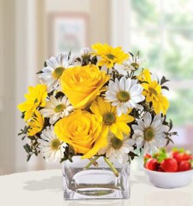 Morning-Glow-1-1.jpg