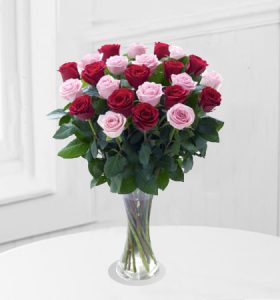 Pastel-and-Red.jpg
