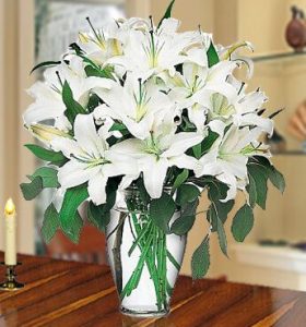 Pearl-Beauty-1-1.jpg