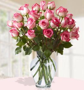 Perfect-Pink-.jpg