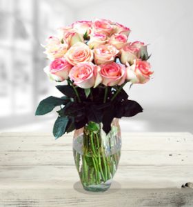 Pink-Ecuadorian-Roses.jpg