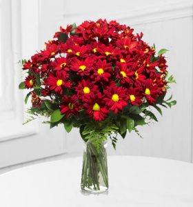 Red-Mums.jpg