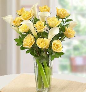 Spread-the-Sunshine-1-1.jpg