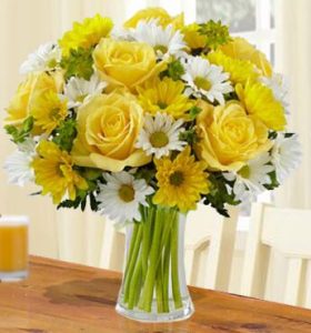 Sunshine-1-1.jpg