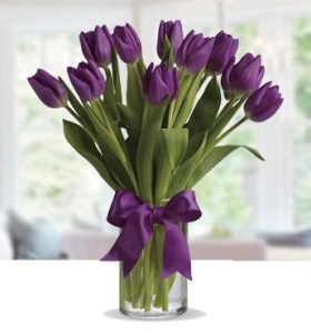 Sweet-Kiss-10-.jpg Sweet-Kiss-10-.jpg