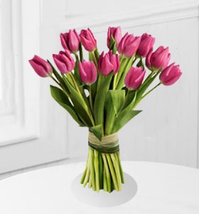 Tulips.jpg