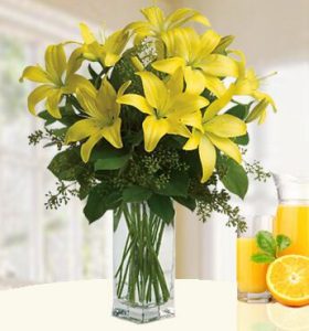Yellow-Sunshine-1-1.jpg