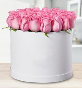 cherish-dearly-aed515-dearly-cherised-1-1.jpg