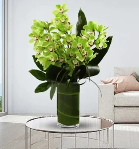 green-cymbidium-orchids-in-a-vase