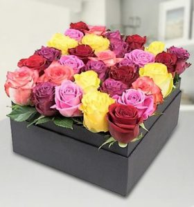 mixed-roses-in-black-box-aed485-miscellaneous-1.jpg
