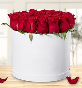 premium-red-roses-aed475-premium-box-of-roses-1.jpg