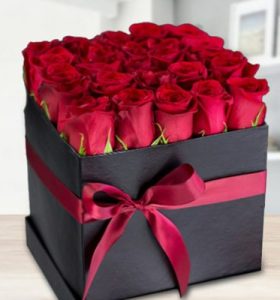pure-beauty-aed355-scarlet-beauty-1.jpg