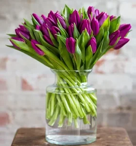 purple-tulips-in-a-vase