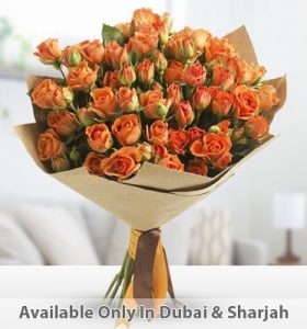 vibrant-attractions-aed399-radiant-attraction-1.jpg