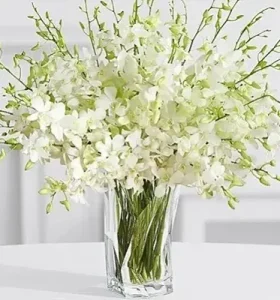 white-orchid-in-a-vase