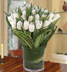 white-tulips-aed599-precious-and-pure-1.jpg