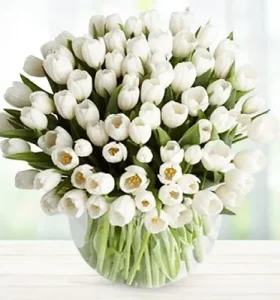 white-tulips-in-a-vase